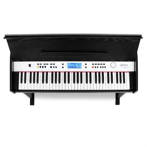 SCHUBERT Carnegy 61 E Piano ID