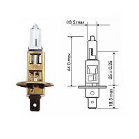Лампа кварцевая галогенная автомобильная АКГ H1 12-55 БЭЛЗ P14,5s
