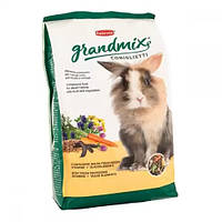 Padovan Grandmix Coniglietti Повнораціонний корм для декоративних кроликів - 3 кг