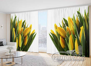 Фото Штори "Жовті з білими тюльпанами" 2,7м*4,0м (2 полотна по 2,0м), тасьма