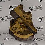 Літні тактичні кросівки Ягуар нубук 3D-сітка койот, фото 10