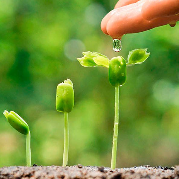 Путь к большому урожаю: биостимуляторы и их влияние на растения