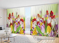 Фото Штори "Різнокольорові яскраві тюльпани" 2,7м*5,0м (2 полотна по 2,5м), тасьма