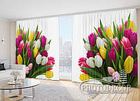 Фото Штори "Букет із різнокольорових тюльпанів" 2,7м*5,0м (2 полотна по 2,5м), тасьма