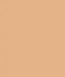 Фон Savage Widetone Almond 2.72m x 11m / На Складе, фото 2