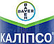 Інсектицид Каліпсо 1 л Bayer Байєр Німеччина, фото 2