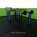 Спорткомплекс, станція для функціональних тренувань FX3072 (кросфіт станція, спортивний майданчик), фото 3