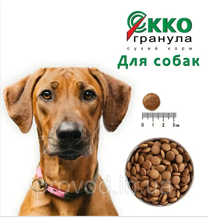Корм для собак великих і середніх порід ЩОДЕННИЙ EKKO ГРАНУЛА з куркою 1 кг, фото 1