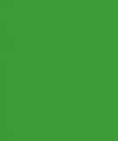 Фон Savage Widetone Tech Green 2.72m x 11m / На Складе, фото 2