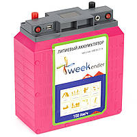 Літій-іонний акумулятор із зарядкою Weekender 12 V 100 A·год