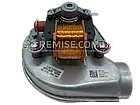 Вентилятор Protherm GR090 Тигр 24 KTV KTO 0020025302, фото 4