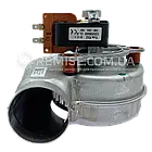 Вентилятор Protherm GR090 Тигр 24 KTV KTO 0020025302, фото 3