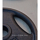 Диск олімпійський металевий 5 кг RN-Sport під гриф Ø50 мм BS1051, фото 4