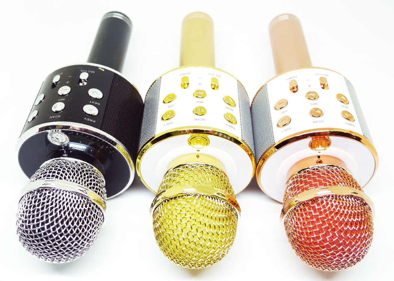 Бездротовий мікрофон для караоке Wester WS-858 з динаміком і Bluetooth якісний звук, фото 1