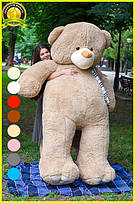 Ведмедики Ветли