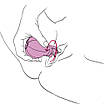 Вібратор Adrien Lastic Caress з крутятся насадками для стимуляції ерогенних зон, фото 6
