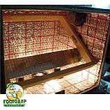 Автоматичний інкубатор "Господар" на 120 яєць, фото 2