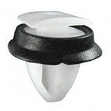 Кліпса кріплення молдінга Fiat Ducato, Peugeot Boxer, Citroen Jumper, 856543,, фото 2