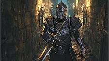 The Elder Scrolls Online: High Isle Collector's Edition Upgrade (Ключ Bethesda.net), фото 5