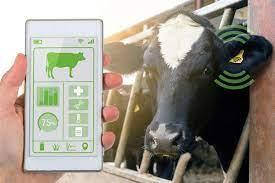 Маркування тварин