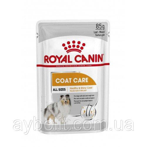Влажный корм Royal Canin Coat Care для собак с тусклой и сухой шерстью, паштет, 85 г