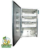 Інкубатор Господар для 36 страусиних яєць з автоматичною системою осушення, фото 2