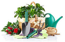 Дача, сад і город