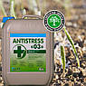 Мікродобрива  АНТИСТРЕС 03 для зернових культур, фото 6