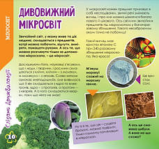 Дружболандія № 5-2022 – Мікронезія (українська мова), фото 4