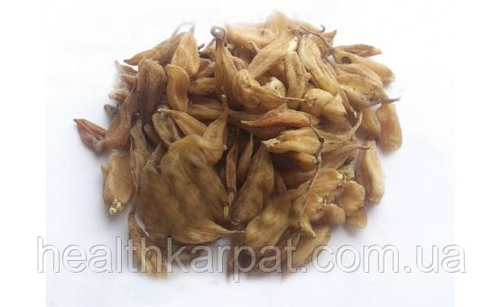 Ятришник корінь 1 кг, фото 1