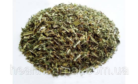 Яснотка біла трава 500 грамм, фото 1