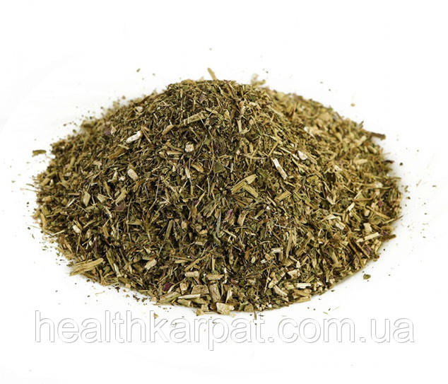 Ехінацея трава 500 грамм, фото 1