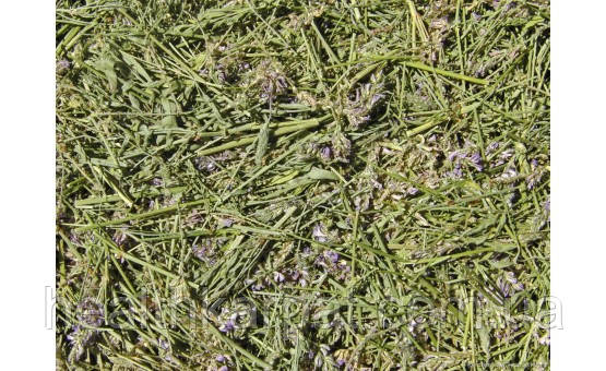 Еспарцет трава 50 грамм, фото 1
