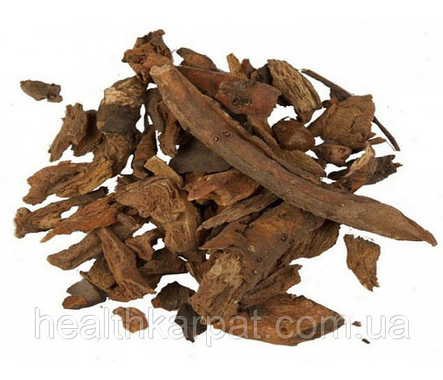 Щавель кінський корінь 50 грамм, фото 1