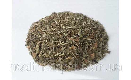Шавлія трава 1 кг, фото 1
