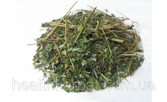 Чистотіл трава 1 кг, фото 1