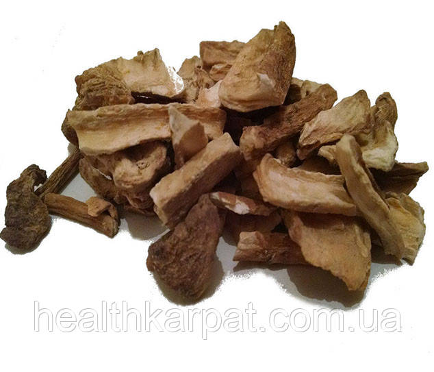 Цикорій звичайний корінь 50 грамм, фото 1