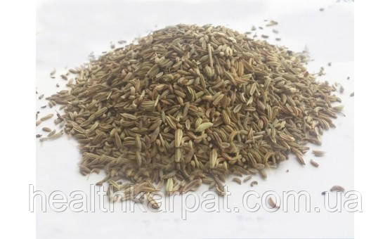 Фенхель звичайний плоди 50 грамм, фото 1