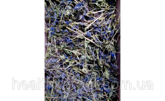 Трава вероніки 50 грамм, фото 1
