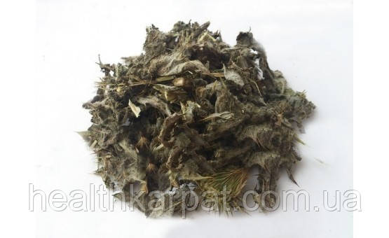 Татарник колючий трава 50 грамм, фото 1