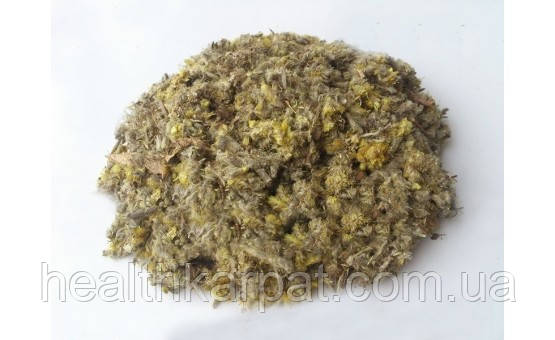 Сушениця трава 1 кг, фото 1