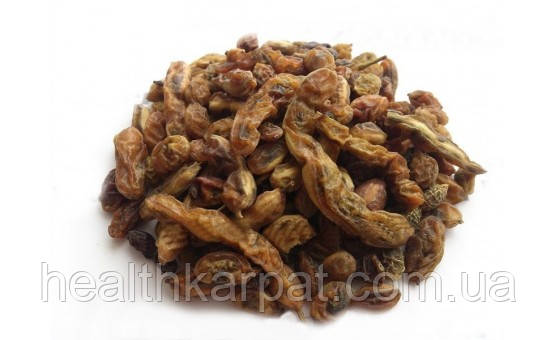 Софора японська плоди 500 грамм, фото 1