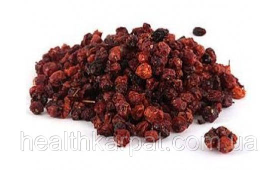 Горобина червоноплідна плоди 500 грамм, фото 1