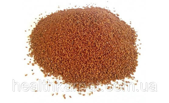 Рудий насіння, 1 кг, фото 1