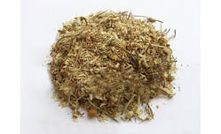 Ромашка квіти 1 кг