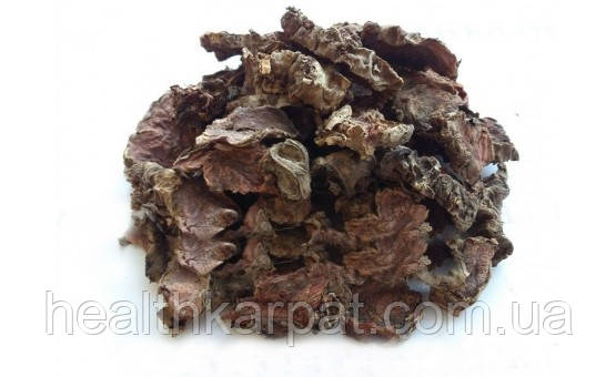 Радіола рожева корінь 50грам, фото 1