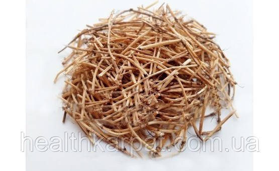 Пирій повзучий корінь 1 кг, фото 1