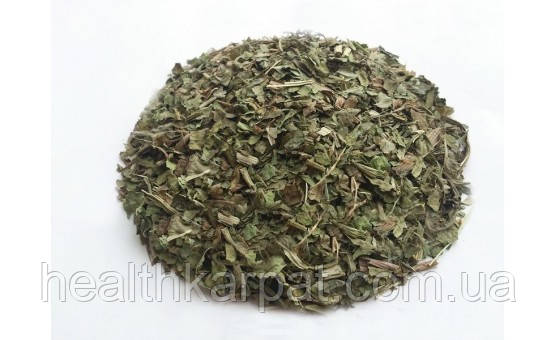 Подорожник лист 1кг, фото 1