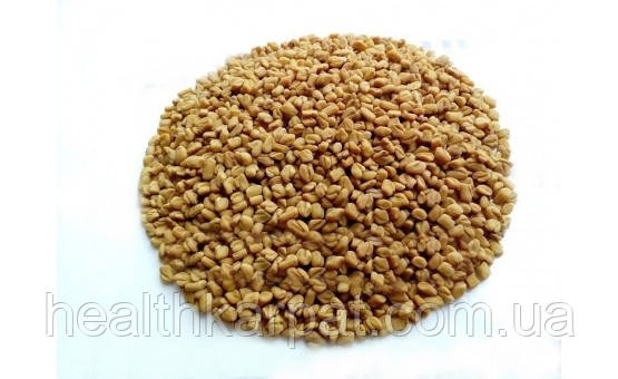 Пажитник сінний Шамбала насіння 1кг, фото 1