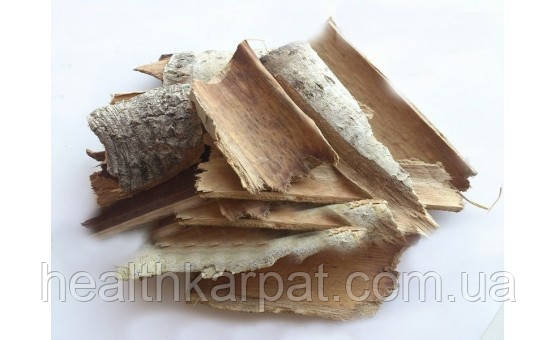 Осика звичайна кора 50 грамм, фото 1